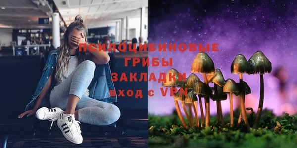 винт Армянск