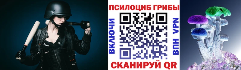 как найти наркотики  Сычёвка  Псилоцибиновые грибы ЛСД 
